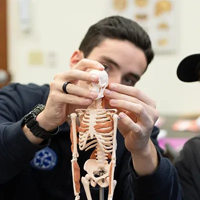 一名男学生在实验室研究人体骨骼模型.